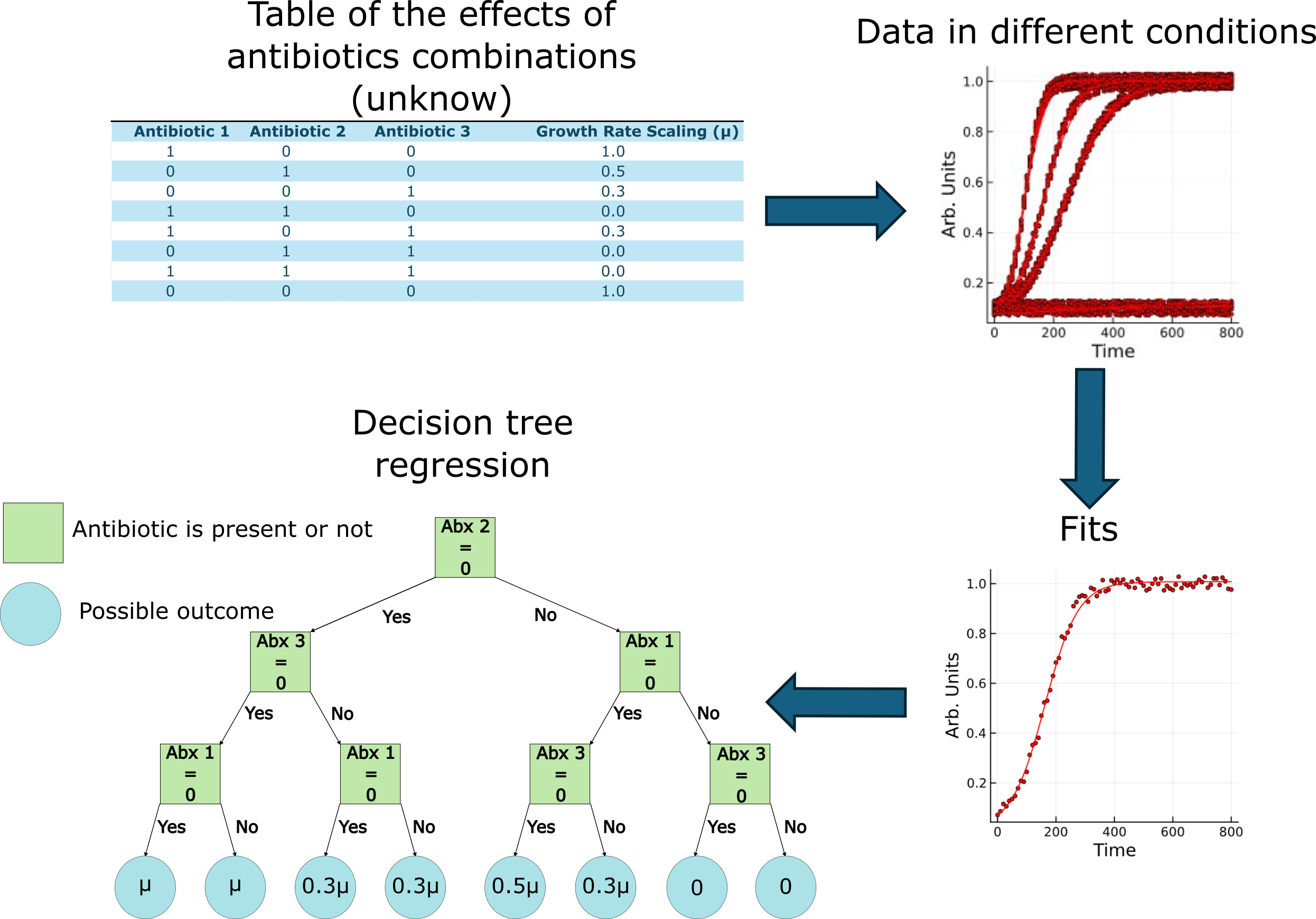 Kinbiont Decision Tree example